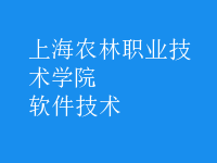 軟件技術(shù)