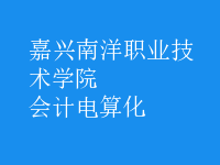 會計電算化