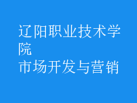 市場(chǎng)開(kāi)發(fā)與營(yíng)銷(xiāo)
