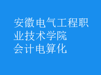 會計電算化