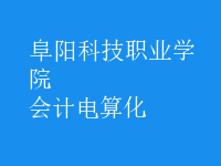 會計電算化