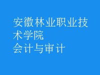 會(huì)計(jì)與審計(jì)
