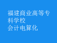 會(huì)計(jì)電算化