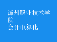 會(huì)計(jì)電算化