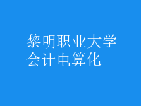 會(huì)計(jì)電算化