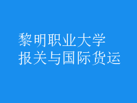 報關(guān)與國際貨運
