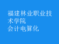 會(huì)計(jì)電算化