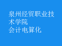 會(huì)計(jì)電算化