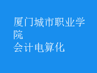 會(huì)計(jì)電算化