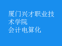 會(huì)計(jì)電算化