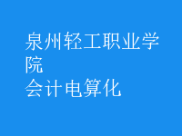 會(huì)計(jì)電算化