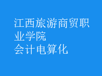 會(huì)計(jì)電算化