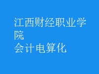 會(huì)計(jì)電算化