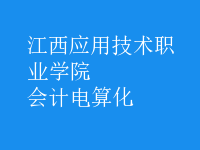 會(huì)計(jì)電算化