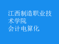 會(huì)計(jì)電算化