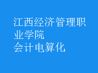 會(huì)計(jì)電算化