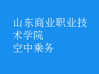 空中乘務