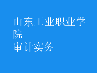 審計(jì)實(shí)務(wù)