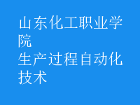 生產(chǎn)過程自動(dòng)化技術(shù)