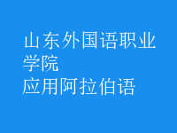 應用阿拉伯語
