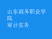 審計(jì)實(shí)務(wù)