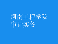 審計(jì)實(shí)務(wù)