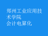 會計(jì)電算化
