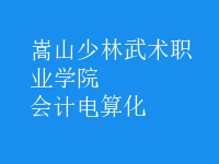 會計(jì)電算化