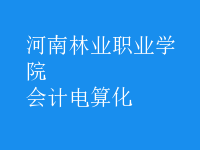 會計(jì)電算化