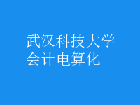 會計(jì)電算化