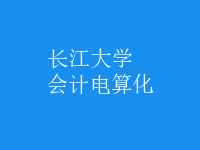 會計(jì)電算化