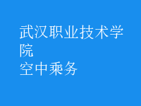 空中乘務