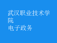電子政務