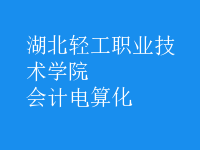 會計(jì)電算化