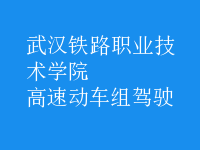 高速動車組駕駛