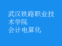 會計(jì)電算化