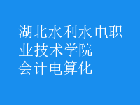 會計(jì)電算化
