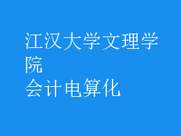 會計電算化