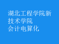 會計(jì)電算化