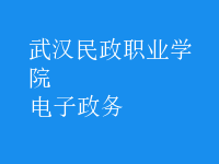 電子政務