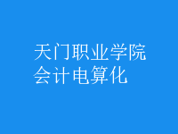 會計(jì)電算化