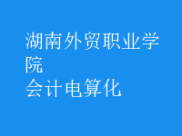 會(huì)計(jì)電算化