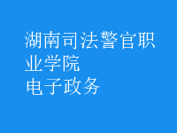 電子政務