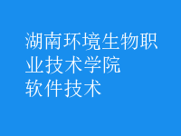 軟件技術
