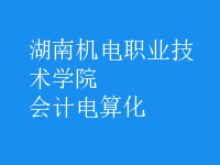 會(huì)計(jì)電算化