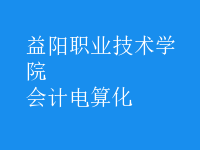 會(huì)計(jì)電算化