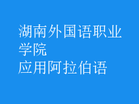 應用阿拉伯語