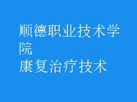 康復治療技術(shù)