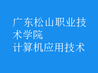 計算機應(yīng)用技術(shù)