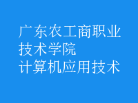 計算機應(yīng)用技術(shù)
